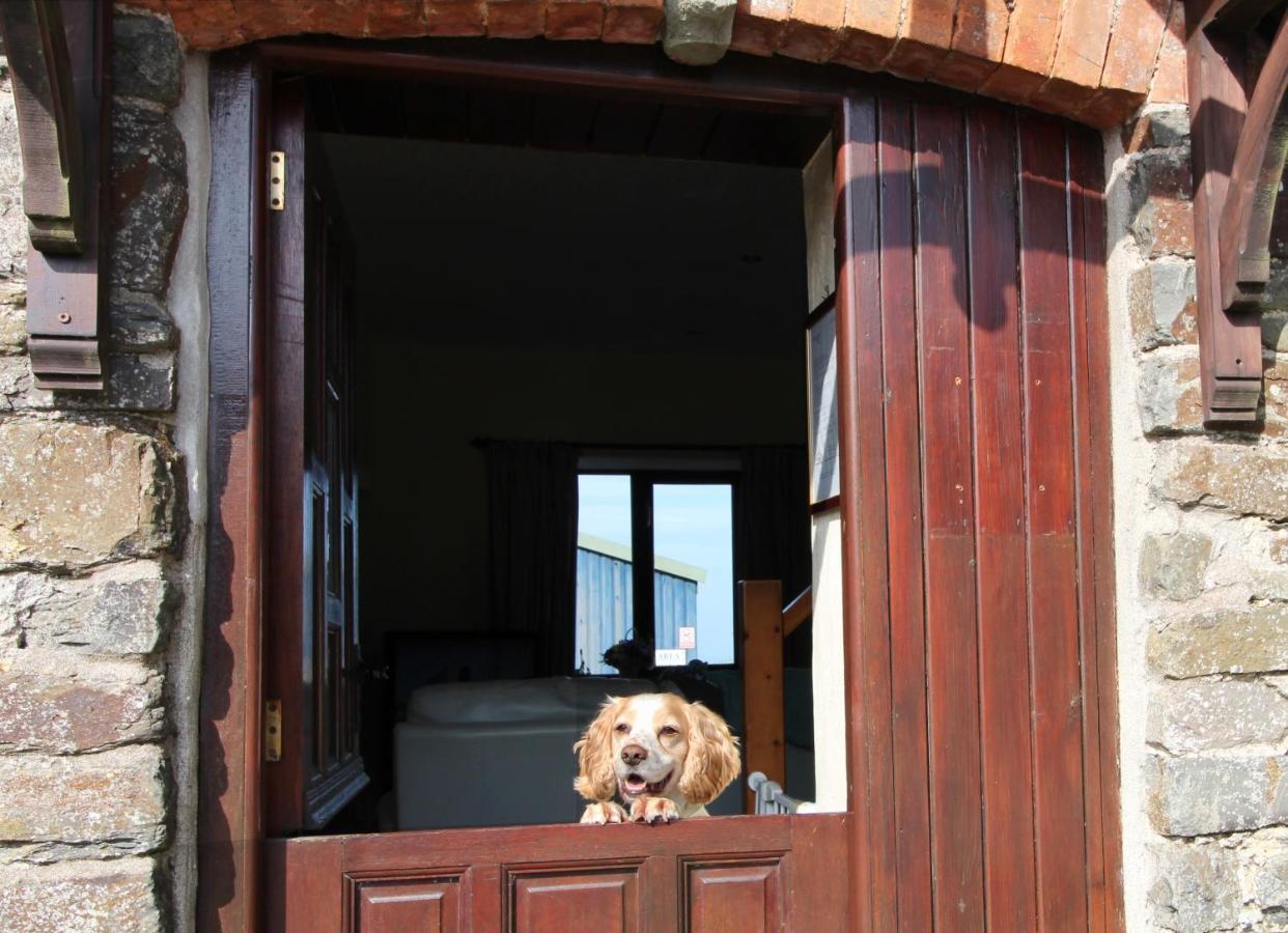 Houndapitt Cottages Bude Extérieur photo